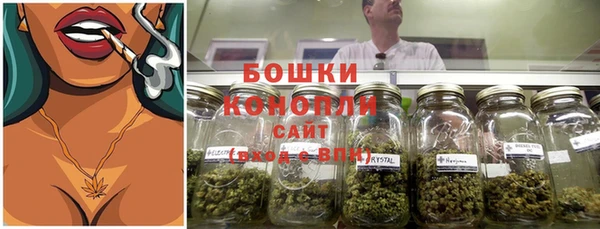 PSILOCYBIN Алексин