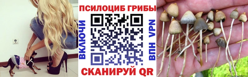 мега зеркало  наркота  Холм  Псилоцибиновые грибы GOLDEN TEACHER 